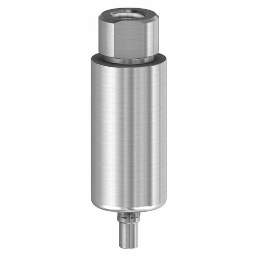 CamlogPremilled Blank 10mm  Ti 4.3 (CamlogPremilled Blank 10mm  Ti 4.3)