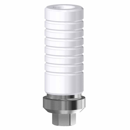 Biohorizons Zimmer Screw Vent, CrCo Base engaging RP (Biohorizons Zimmer Screw Vent, CrCo Base engaging RP)