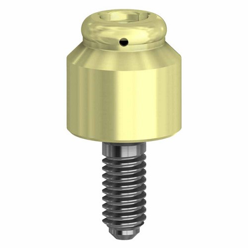Straumann Tissue LevelDESS LOC RN 4mm (on implant) (Straumann Tissue LevelDESS LOC RN 4mm (on implant))