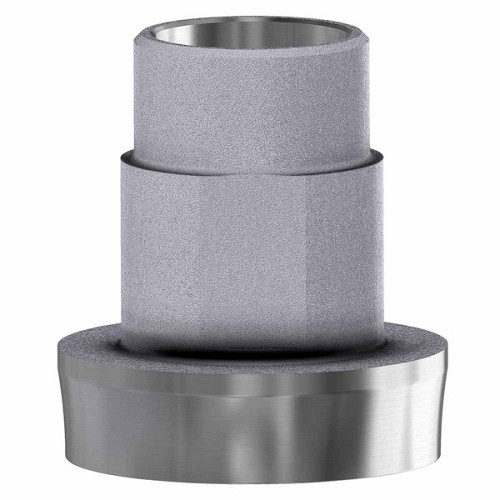 3i Osseotite Ext Hex Ti Base GH1.5mm - Engaging - 5.0 (3i Osseotite Ext Hex Ti Base GH1.5mm - Engaging - 5.0)