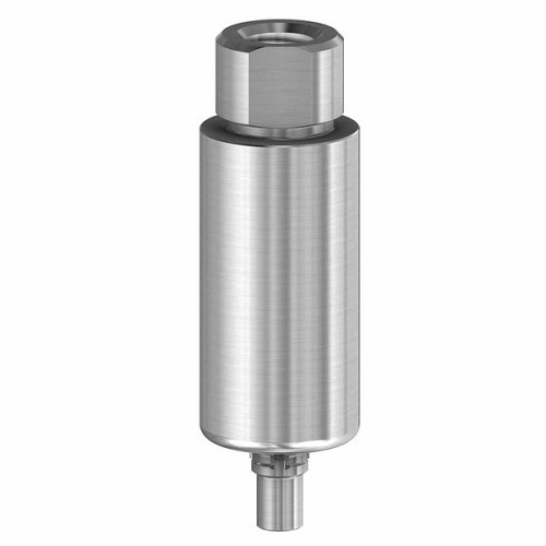CamlogPremilled Blank 10mm  Ti 5.0 (CamlogPremilled Blank 10mm  Ti 5.0)