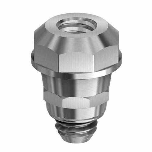 Straumann Tissue LevelConverter abutment engaging WP (Straumann Tissue LevelConverter abutment engaging WP)