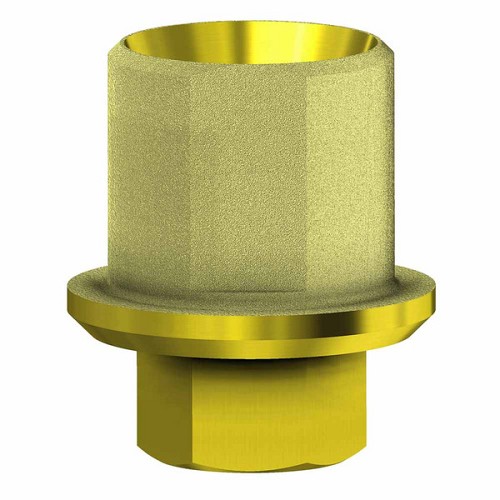 Zimmer Screw Vent, Ti base angul. Channel engaging RP (Zimmer Screw Vent, Ti base angul. Channel engaging RP)