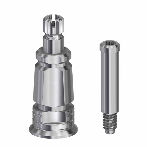 Straumann Tissue LevelTransfer WN (on abutment) (Straumann Tissue LevelTransfer WN (on abutment))