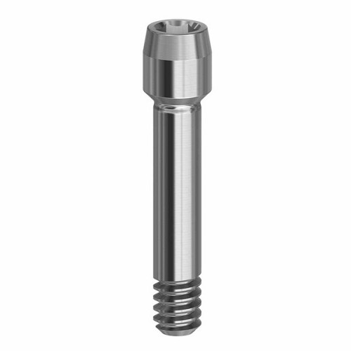 OsstemScrew Hex 1.22 TS Standard (OsstemScrew Hex 1.22 TS Standard)