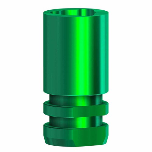 Nobel Replace Select, Analog 6.0 (Nobel Replace Select, Analog 6.0)