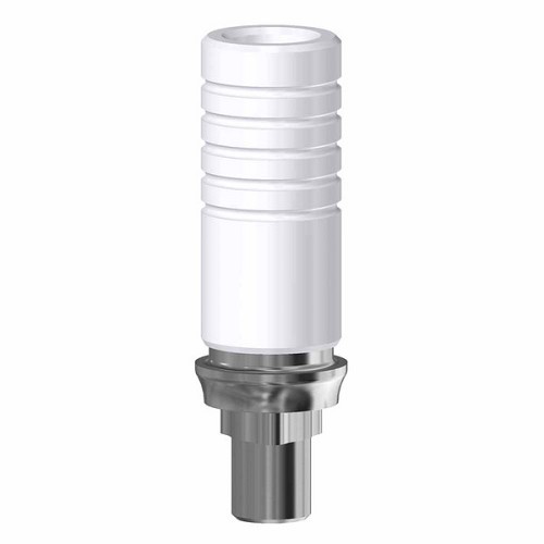 Nobel Replace Select, CrCo Base engaging RP (Nobel Replace Select, CrCo Base engaging RP)