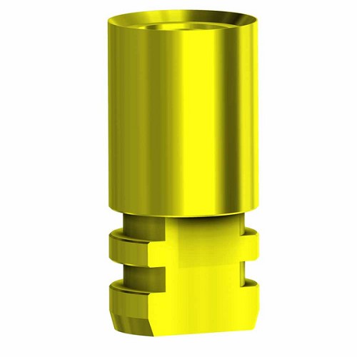 Zimmer Screw Vent, Analog  WP (Zimmer Screw Vent, Analog  WP)