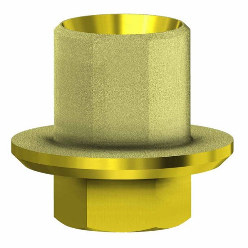 Zimmer Screw Vent, Ti base angul. Channel engaging WP (Zimmer Screw Vent, Ti base angul. Channel engaging WP)