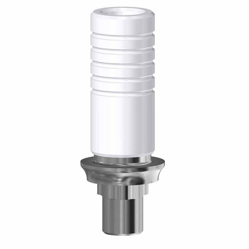 Nobel Replace Select, CrCo Base engaging WP (Nobel Replace Select, CrCo Base engaging WP)