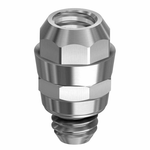 Straumann Soft Tissue Level, Converter abutment engaging RN 4.8 (Straumann Soft Tissue Level, Converter abutment engaging RN 4.8)