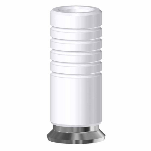 Straumann Soft Tissue Level, CrCo Base non-engaging RN 4.8 on abutment (Straumann Soft Tissue Level, CrCo Base non-engaging RN 4.8 on abutment)