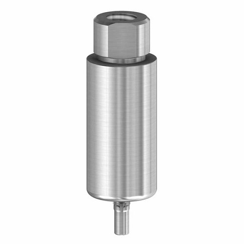 CamlogPremilled Blank 10mm  Ti 3.3 (CamlogPremilled Blank 10mm  Ti 3.3)