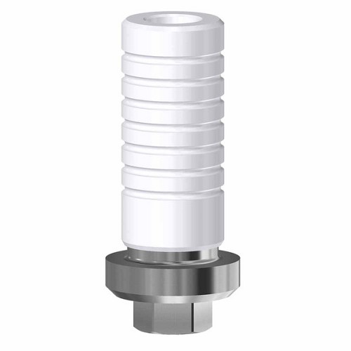 Biohorizons Zimmer Screw Vent, CrCo Base engaging WP (Biohorizons Zimmer Screw Vent, CrCo Base engaging WP)