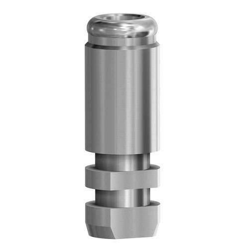 Locator Abutments, Pack 10: Analog  DESS LOC (Locator Abutments, Pack 10: Analog  DESS LOC)