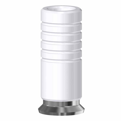 Straumann Soft Tissue Level, CrCo Base non-engaging RN 4.8 (Straumann Soft Tissue Level, CrCo Base non-engaging RN 4.8)