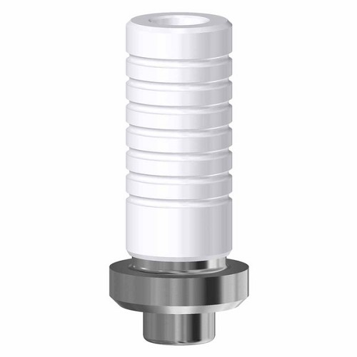 Biohorizons Zimmer Screw Vent, CrCo Base non-engaging WP (Biohorizons Zimmer Screw Vent, CrCo Base non-engaging WP)