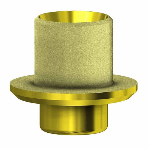 Zimmer Screw Vent, Ti base angul. Channel non-engaging WP (Zimmer Screw Vent, Ti base angul. Channel non-engaging WP)
