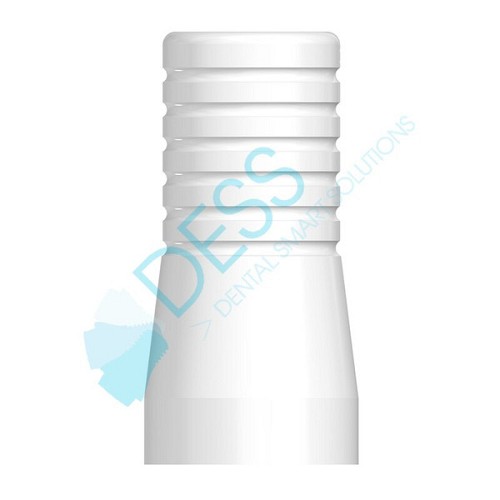 Pack of 5: Castable for DESS Ti Base eng. 16.098 (Pack of 5: Castable for DESS Ti Base eng. 16.098)