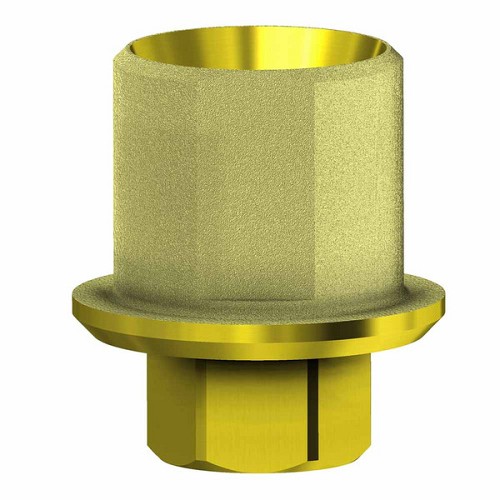 Internal Hex BH Ti ANGLE BASE. Channel engaging 4.5 (Internal Hex BH Ti ANGLE BASE. Channel engaging 4.5)