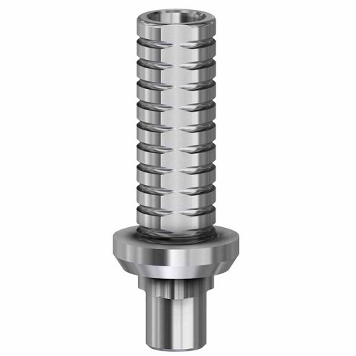 Nobel Replace Select, Temporary abutment engaging WP (Nobel Replace Select, Temporary abutment engaging WP)