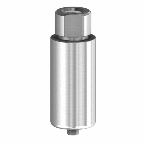 Internal Hex BH Pre-milled blank 10mm  Ti engag. 3.0 (Internal Hex BH Pre-milled blank 10mm  Ti engag. 3.0)