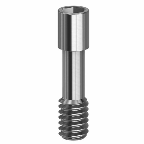 ZimmerPACK 10: Screw hexagonal 1,27mm (ZimmerPACK 10: Screw hexagonal 1,27mm)