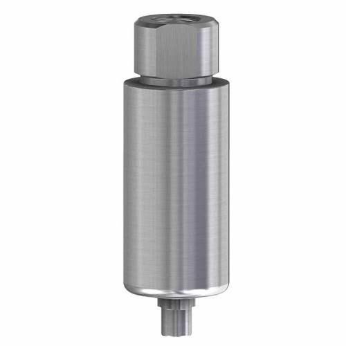 Nobel Replace Select, Pre-milled blank 10mm Ti engaging WP (Nobel Replace Select, Pre-milled blank 10mm Ti engaging WP)