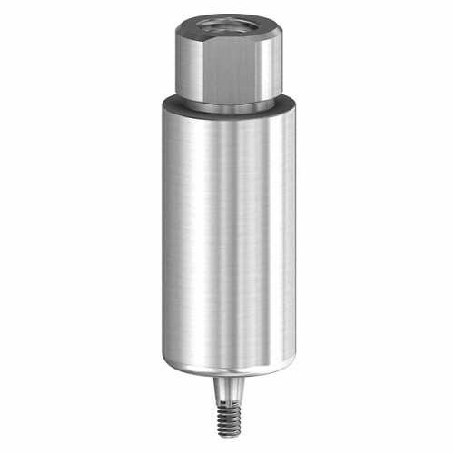 Dentsply Ankylos, Pre-milled blank 10mm Ti eng. GH3 (Dentsply Ankylos, Pre-milled blank 10mm Ti eng. GH3)