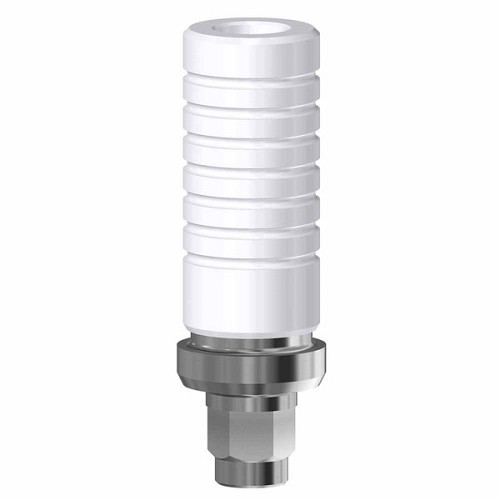 Friadent Xive, CrCo Base engaging WP (Friadent Xive, CrCo Base engaging WP)