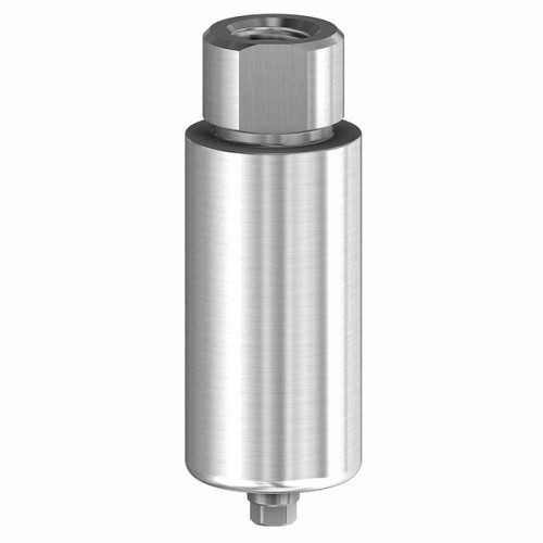 MegaGen AnyridgePremilled Blank 10mm  Titanium (MegaGen AnyridgePremilled Blank 10mm  Titanium)