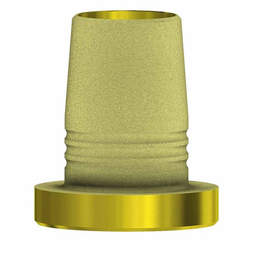 Straumann Tissue Level Non-Engaging C-Base GH1.0mm (Straumann Tissue Level Non-Engaging C-Base GH1.0mm)