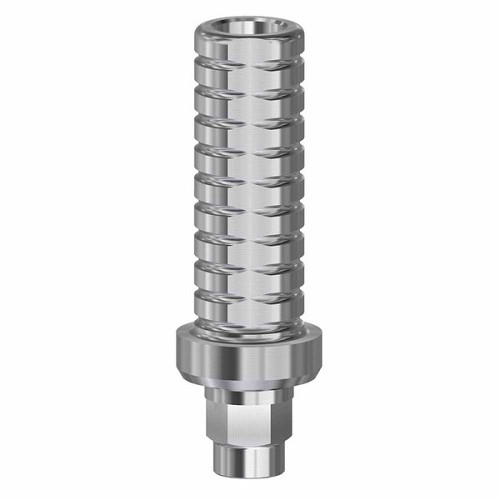 Friadent Xive, Temporary abutment engaging WP (Friadent Xive, Temporary abutment engaging WP)