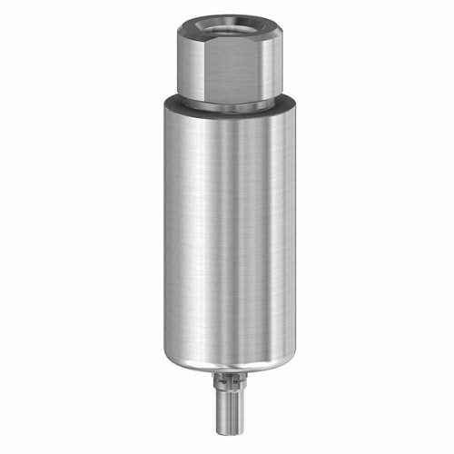 CamlogPremilled Blank 10mm  Ti 3.8 (CamlogPremilled Blank 10mm  Ti 3.8)