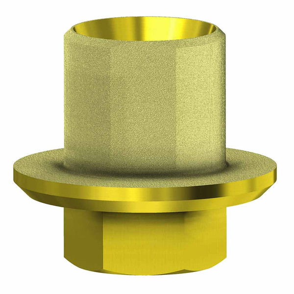 Zimmer Screw Vent, Ti base angul. Channel engaging WP